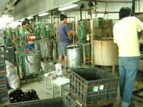 深圳市平湖海利豐塑膠制品廠 專注塑料制品，鑄就品質未來